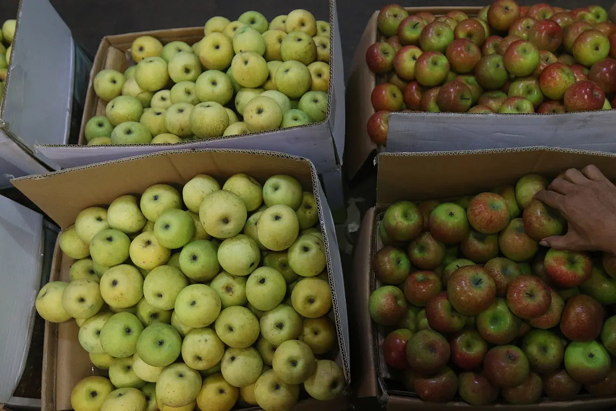 Produksi Buah Dalam Negeri Akan Ditingkatkan