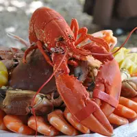 ilustrasi/copyright pixabay.com/NadineDoerle