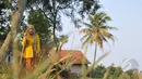 Nenek Anami tampak berjalan dengan tongkatnya di sekitar rumahnya di Purwakarta, Jabar, Minggu (17/5). Nenek yang diduga berusia 140 tahun ini akan mengikuti sayembara orang tertua di dunia yang digelar miliuner asal Rusia. (Liputan6.com/Herman Zakharia)