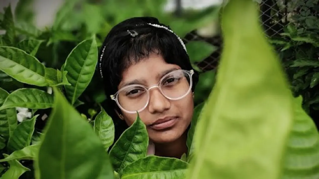 frame 1