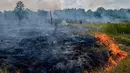 Suasana lahan gambut yang dilalap api di Pekanbaru, Provinsi Riau, (1/2). Lokasi ini merupakan salah satu dari 73 titik api yang terdeteksi menyebabkan kabut asap di pulau Sumatera. (AFP Photo/Wahyudi)