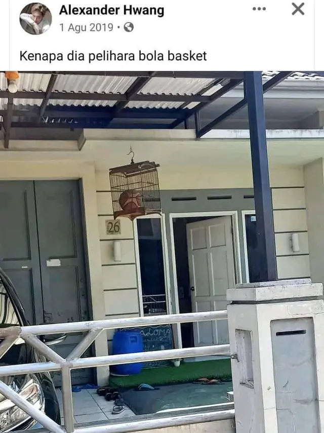6 Tempat Simpan Mainan di Kandang Hewan Ini Bikin Tepuk Jidat