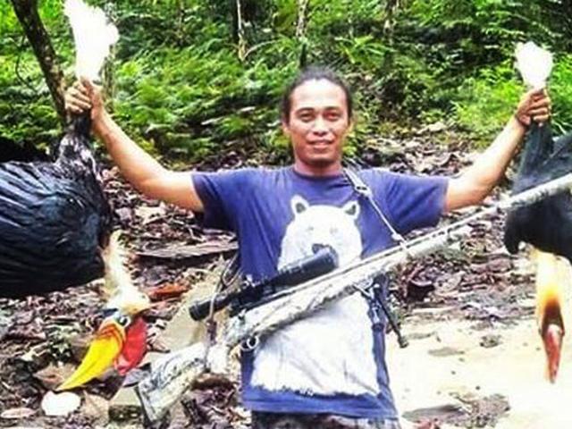 7000 Gambar Burung Enggang Gambar Id