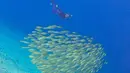 <p>Ria Ricis terlihat sumringah saat bisa snorkeling untuk melepas penat. Melihat ikan-ikan koloni berenang di lautan pun menjadi suatu kebahagiaan tersendiri bagi perempuan kelahiran 1 Juli 1995. Foto yang apik ini banjir pujian dari netizen yang terkesan dengan pemandangan bawah laut saat Ria Ricis snorkeling. (Liputan6.com/IG/@riaricis1795)</p>