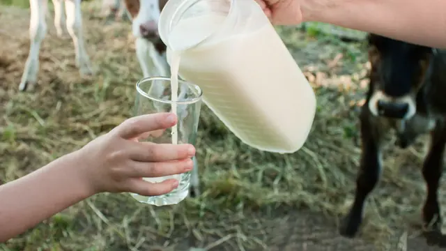 Memiliki Jerawat Hormon? Hindari Mengonsumsi Makanan Ini!
