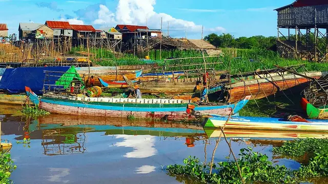 [Bintang] Kamboja