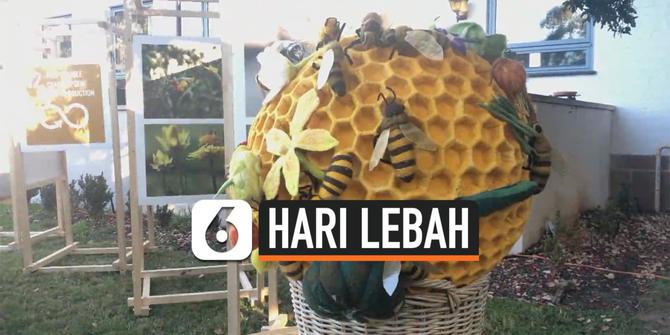 VIDEO: Ternyata Ada Hari Lebah Sedunia, Begini Perayaannya