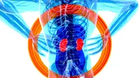 Cara Merawat Ginjal agar Sehat, Lakukan 4 Langkah Penting Ini Sejak Dini