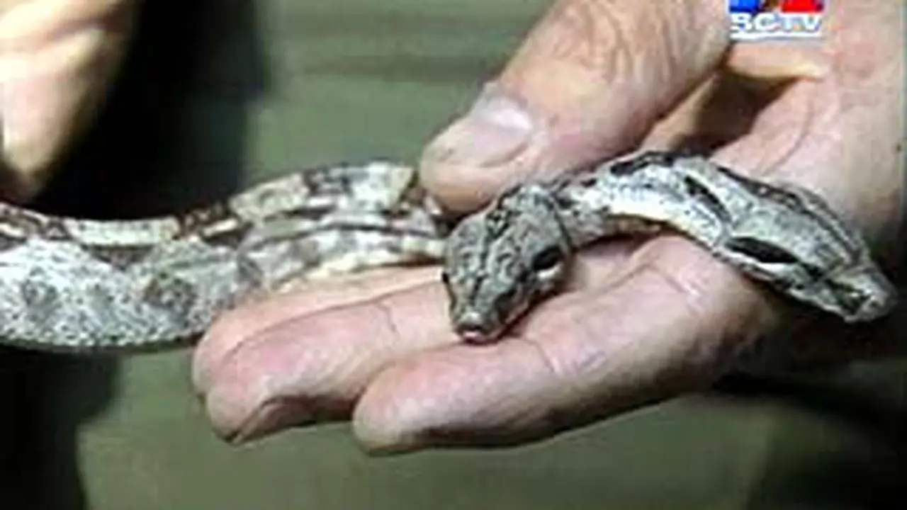 170903dLnUlar.jpg