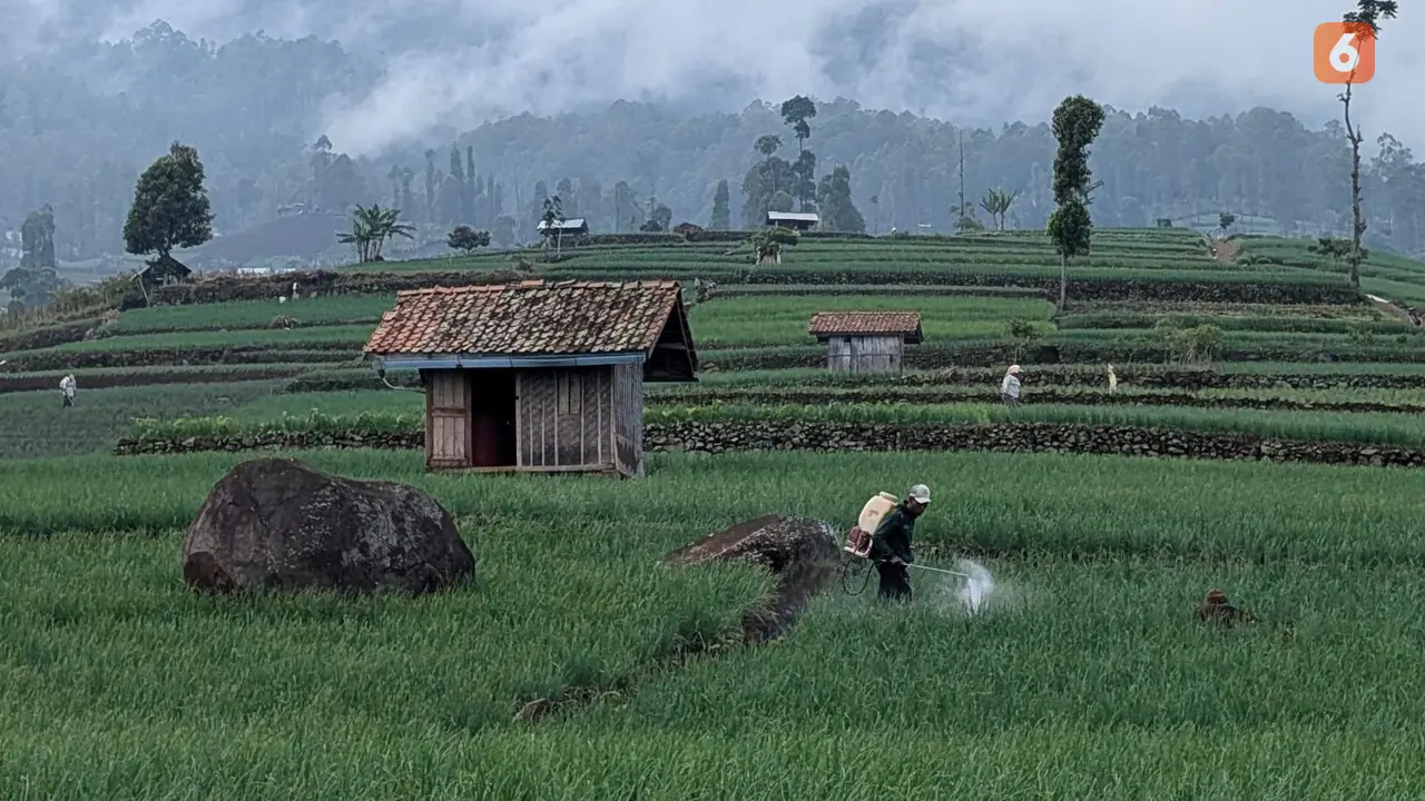 Kasus Bunuh Diri Terbanyak Berdasarkan 5 Jenis Profesi, Petani di Urutan Pertama