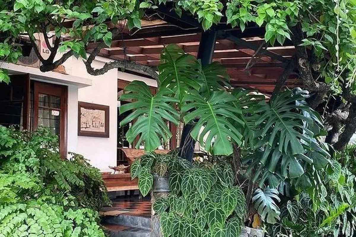 Taman Rindang dengan Atap