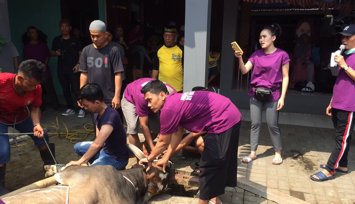 (Anto Karibo/Bintang.com)