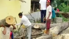 liputan6
