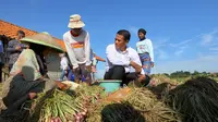 Mentan Amran Sulaiman berdialog dengan petani bawang di Desa Cigentong, Kecamatan Wanasari, Kabupaten Brebes.