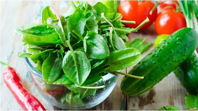 Foto: copyright thinkstockphotos.com