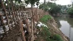 Tanggul dari kayu dan karung pasir dibangun di bantaran Sungai Ciliwung, Rawajati, Pancoran, Jakarta, Senin (11/11/2019). Tanggul dengan panjang 300 meter dan tinggi 1,5 meter itu diharapkan bisa membentengi permukiman warga dari luapan Sungai Ciliwung saat musim hujan. (merdeka.com/Iqbal Nugroho)