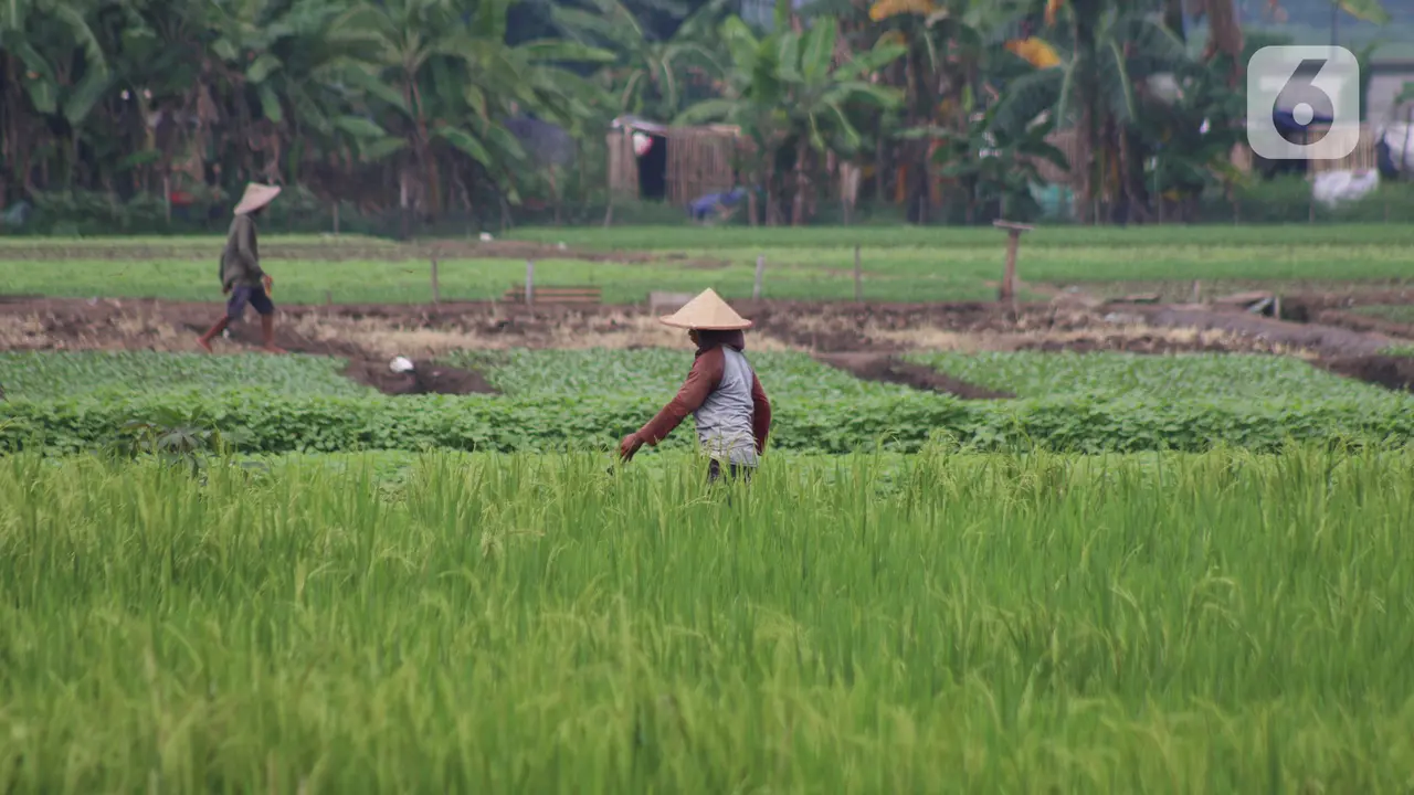 Produksi Pertanian Sebagai Bantalan Ekonomi Nasional
