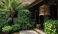 7 Tanaman yang Cocok Ditanam Dekat Kandang Burung, Mudah Dirawat dan Sedap Dipandang