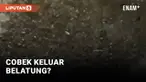 Baru ini media sosial dihebohkan dengan eksperimen sebuah cobek dibakar yang mengeluarkan belatung, kok bisa? Ini penjelasannya...