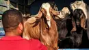 Dengan melakukan penyembelihan hewan kurban, berkurban menjadi amalan utama Idul Adha. (HAZEM BADER/AFP)