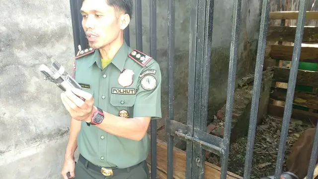 Kaki Palsu anoa yang akan dipasang setelah sembuh.(Liputan6.com/Ahmad Akbar Fua)