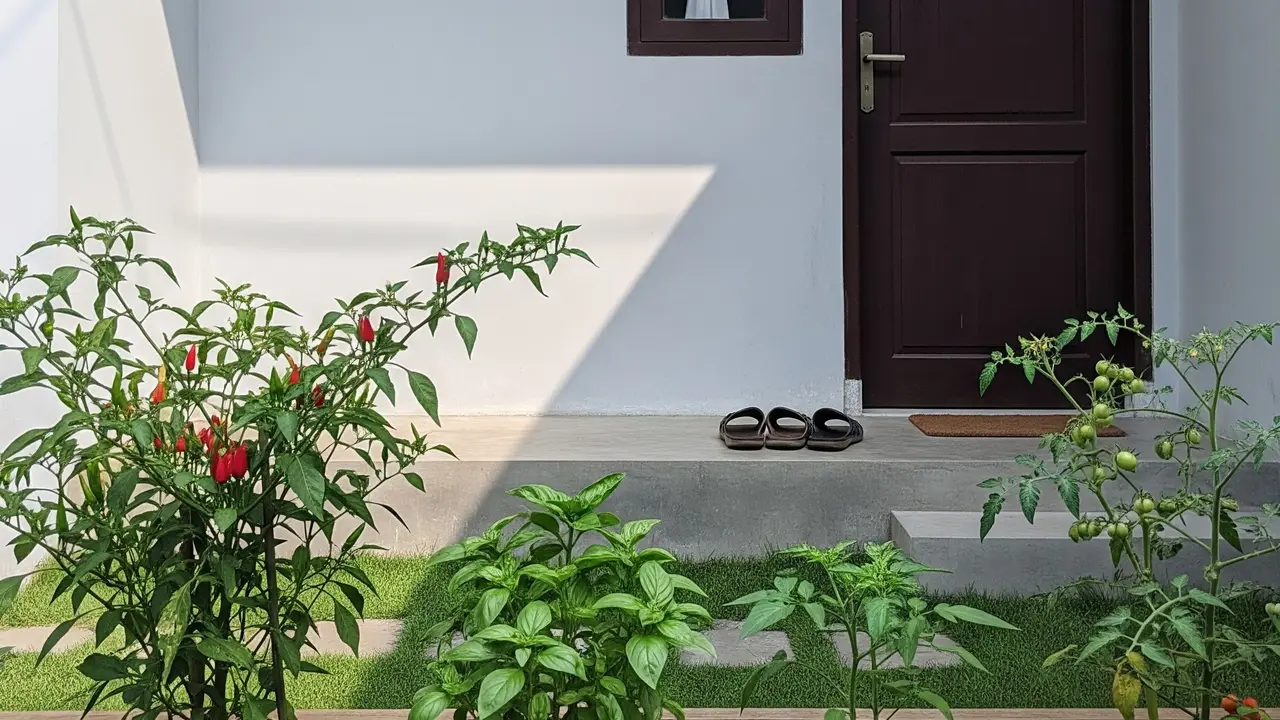 Ilustrasi Berkebun di Depan Kos
