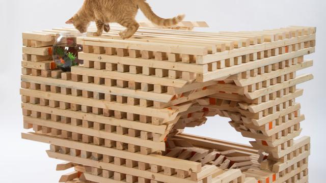 84 Koleksi Gambar Rumah Kucing Gratis Terbaik