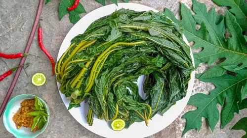rebus daun pepaya pahit