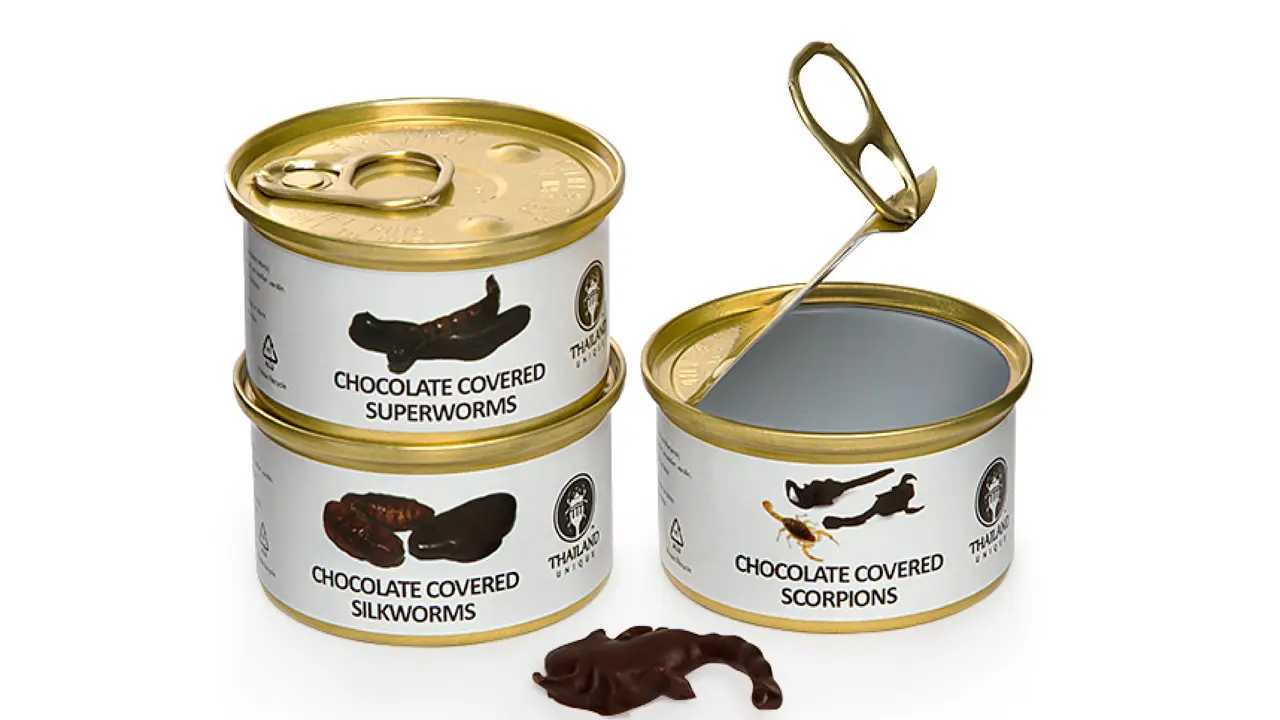 Kalajengking lapis coklat. (Wikipedia)