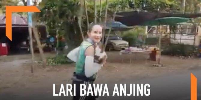 VIDEO: Pelari Ikut Lomba Sambil Gendong Anjing Sejauh 30 Km