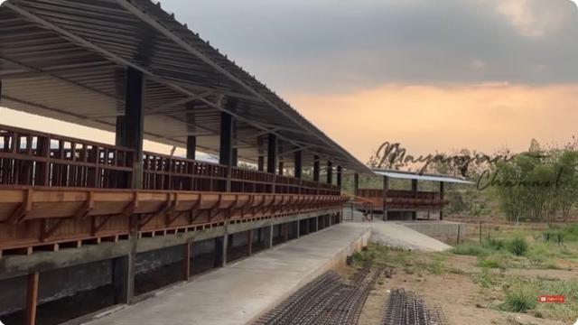8 Potret Mayangsari saat Pulang ke Purwokerto, Perlihatkan Kebunnya yang Luas