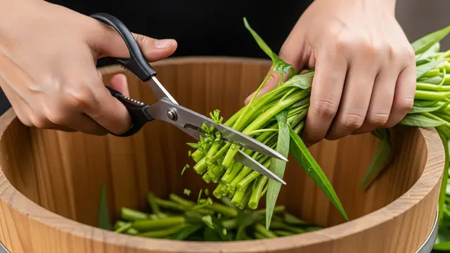Mencacah Kangkung untuk Pakan Ternak Ayam