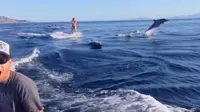 Seorang wanita yang sedang bermain wakeboarding di laut tiba-tiba dikelilingi oleh lumba-lumba. Sumber: Brightside.me.