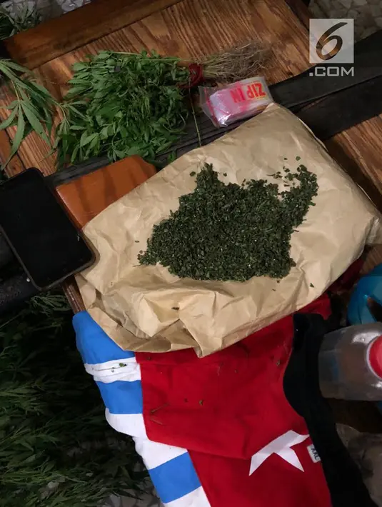 Barang bukti ditunjukkan saat sweeping di jalan lintas Wamena-Karubaga-Puncak Jaya, Papua, (3/8). Selain kurir ganja, Apianus Logo merupakan bandar ganja yang memiliki ladang ganja sendiri di kampungnya 45 km dari kota Wamena. (Liputan6.com/HO/Dispenad)