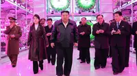 Pemimpin Korea Utara Kim Jong Un (tengah) dan putrinya Ju Ae (kedua dari kiri) mengunjungi Rumah Kaca Komprehensif Gangdong di Pyongyang pada 16 Maret 2024. STR/KCNA MELALUI K