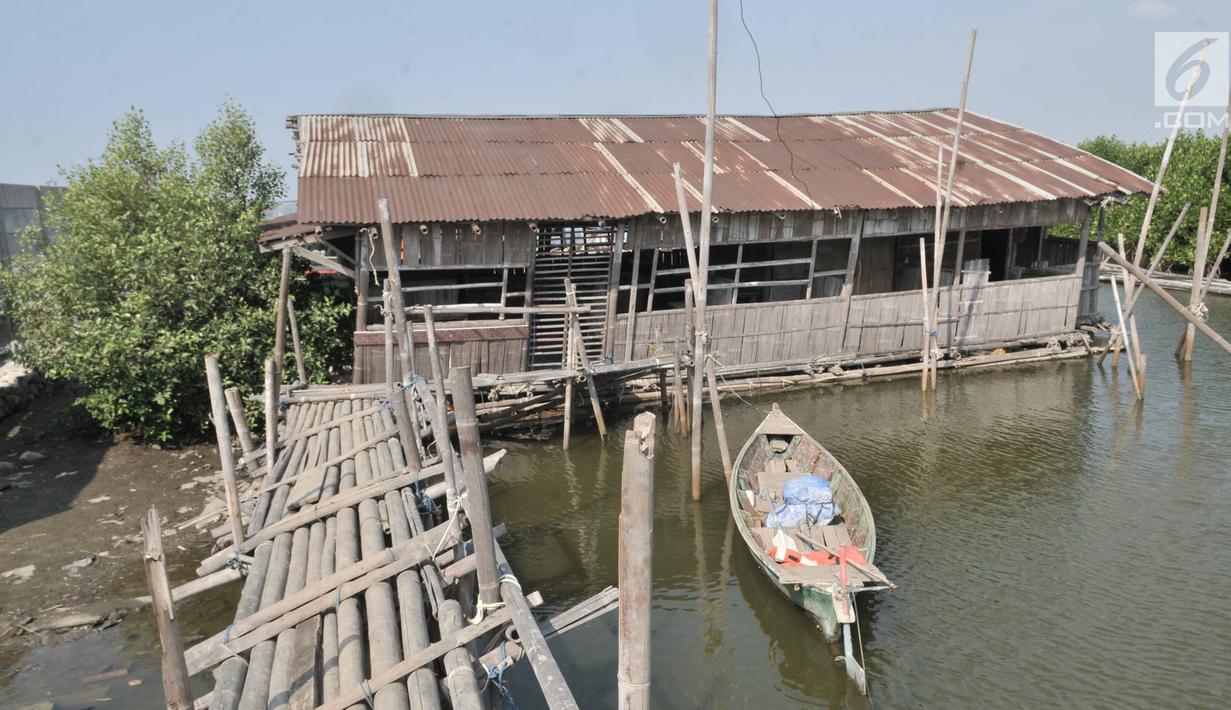 Kondisi warung makan yang ditinggalkan pemilik di kawasan hutan bakau, Marunda, Jakarta, Selasa (27/8/2019). Data DLH DKI mencatat dari luas total hutan bakau di Jakarta yakni 430 hektare, sebesar 30 persen atau sekitar 129 hektare masih harus dilakukan rehabilitasi. (merdeka.com/Iqbal S. Nugroho)