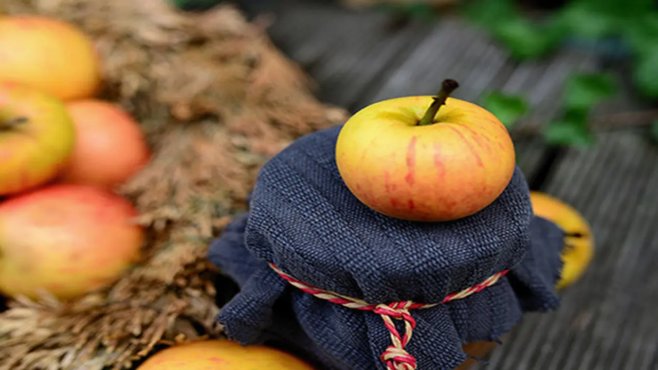 Ilustrasi buah apel