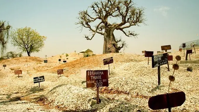 (C) amusingplanet.com