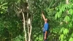 liputan6