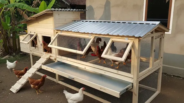 Ide Kandang Ayam