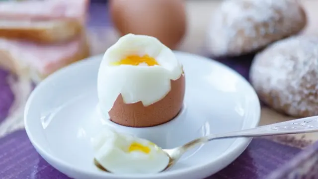 Copyright by shutterstock.com