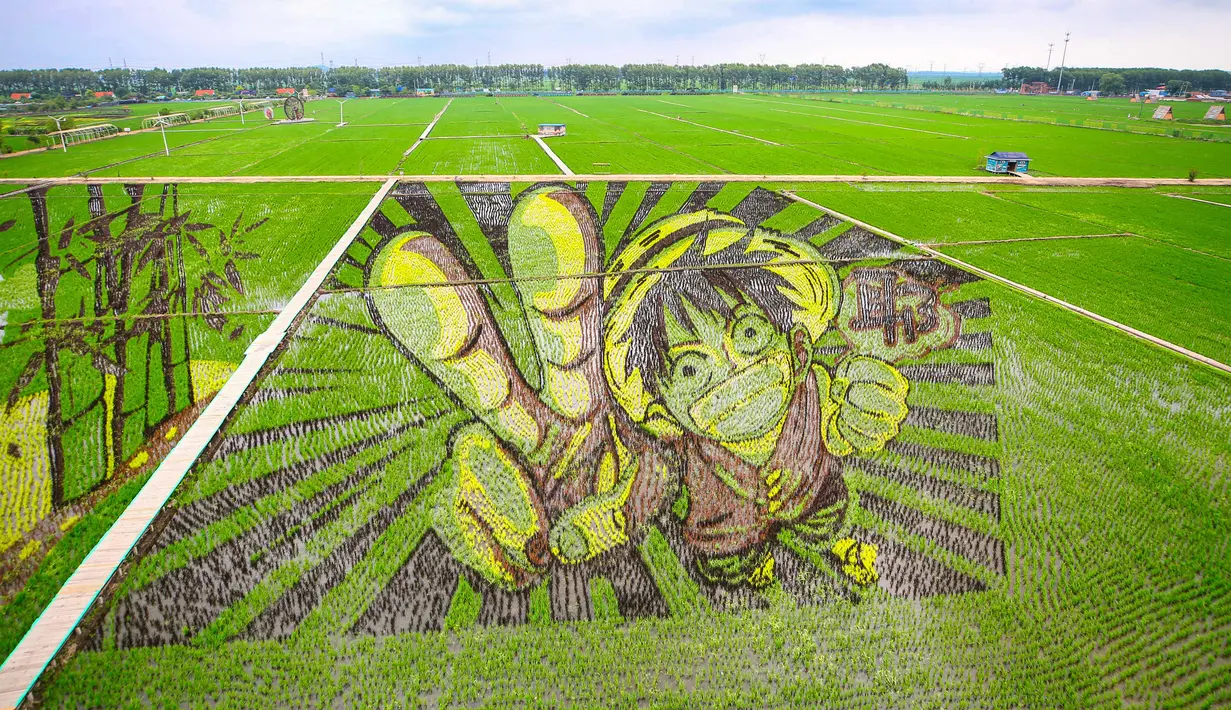 Petani di China membuat secara hati-hati dari tanaman yang mereka tanam hingga bisa menjadi sebuah karya 3D yang luar biasa. (STR / AFP)