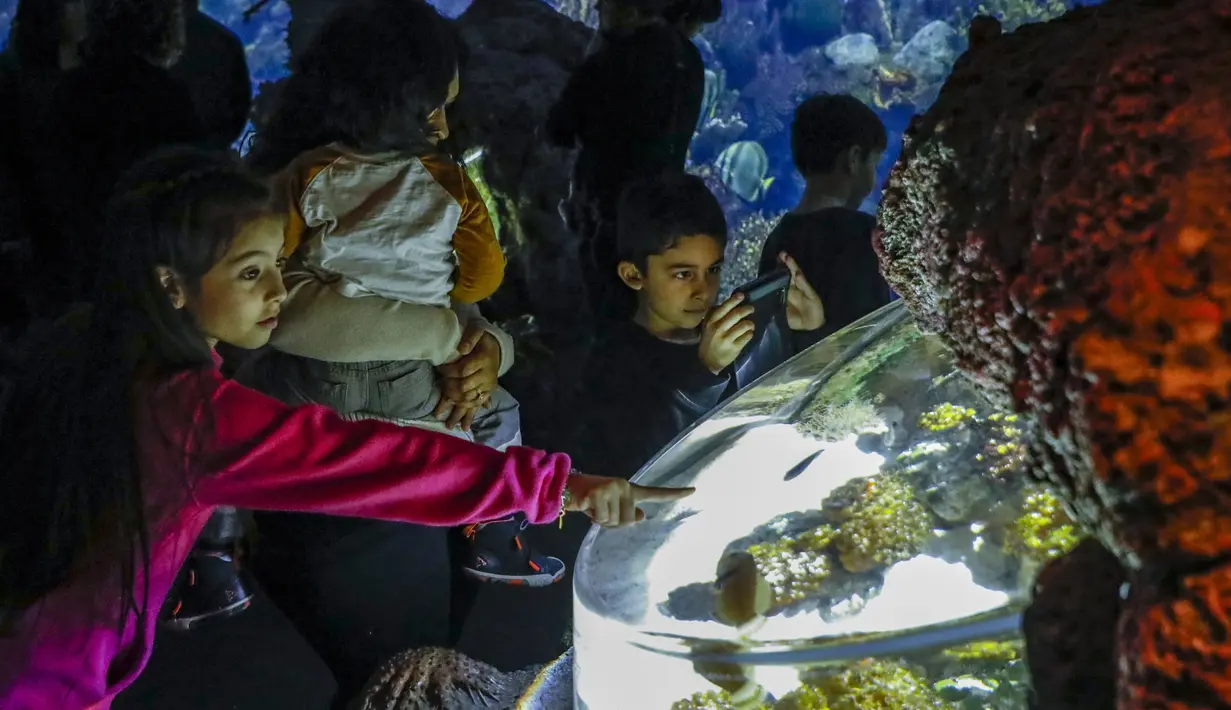 Anak-anak saat mengunjungi pameran "Keindahan Bawah Laut" (Underwater Beauty) di Shedd Aquarium di Chicago, Amerika Serikat (17/2/2020). Shedd Aquarium  memiliki koleksi 32.000 ekor binatang dan menarik sekitar 2 juta pengunjung setiap tahun. (Xinhua/Joel Lerner)