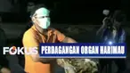 Dari tangan para pelaku didapatkan satu potongan kulit serta empat janin harimau Sumatera.