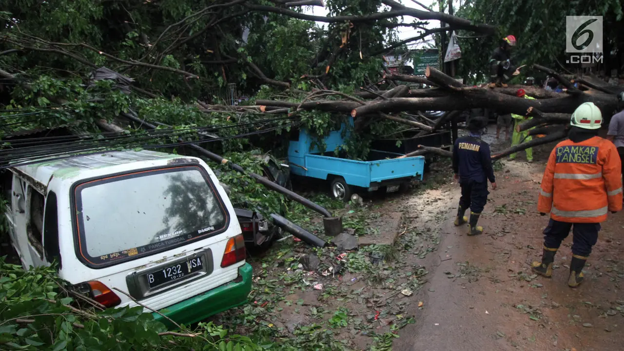 Hujan Disertai Angin Kencang, Pohon Tumbang Timpa Mobil di Ciputat