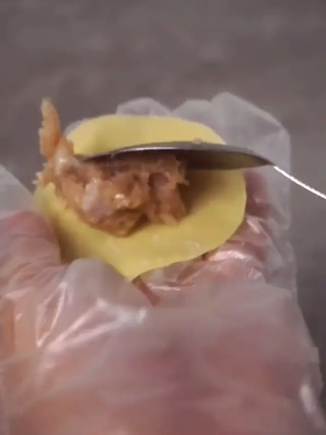 Dijamin Berhasil, Ini 5 Trik Bikin Kulit Dimsum Enak dan Tidak Kering