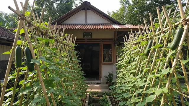 ide kebun di mushola kecil tanpa modal besar