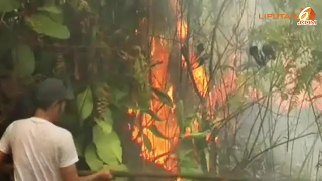 Kabut Asap di Riau Bahayakan Kesehatan Masyarakat 