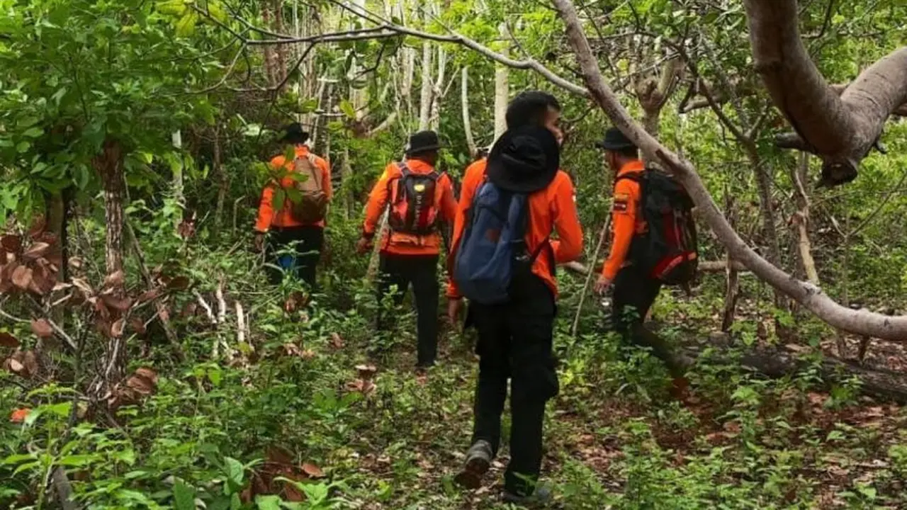 Lansia hilang di hutan Selayar