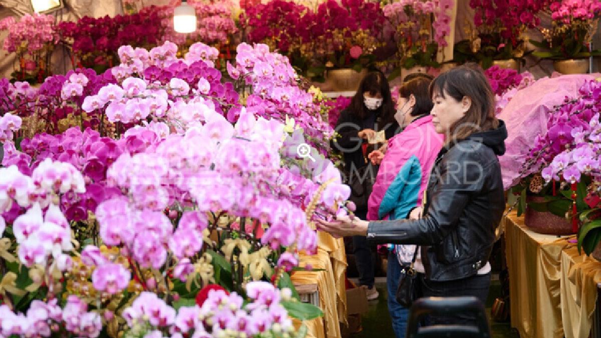 6 Tradisi Unik Imlek 2026 di Hong Kong, Dimulai dari Beli Bunga Pembawa Keberuntungan